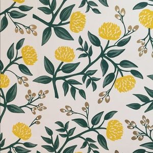 Meet your Posher, Elaine